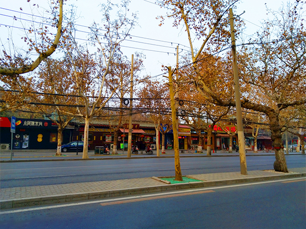 城市街道米乐官方